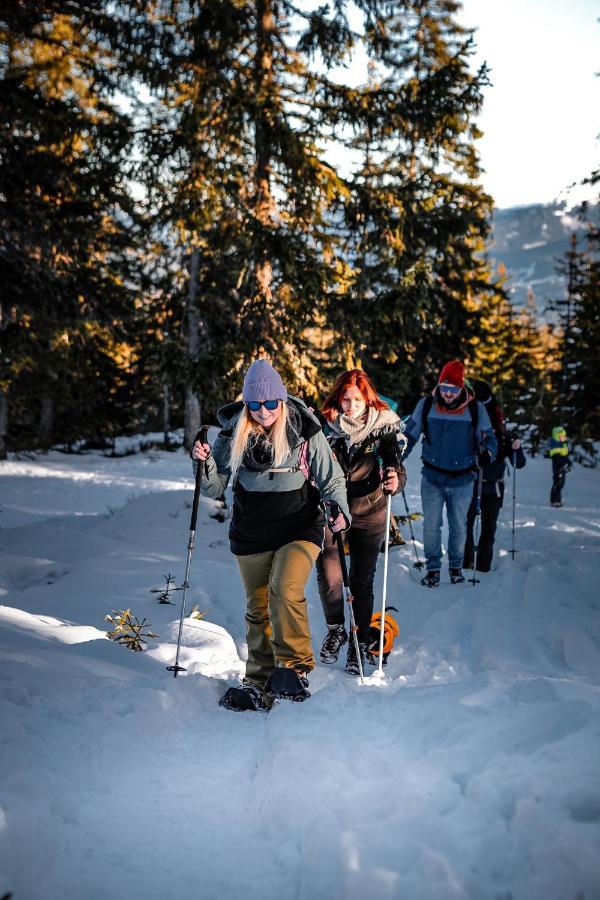 Radstaedter Huette Im Winter Nicht Mit Dem Auto Erreichbar Wunderschoene Alleinlage Schwemmberg Bagian luar foto